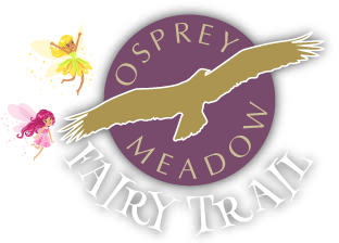 Osprey Meadow - Fairy Trail