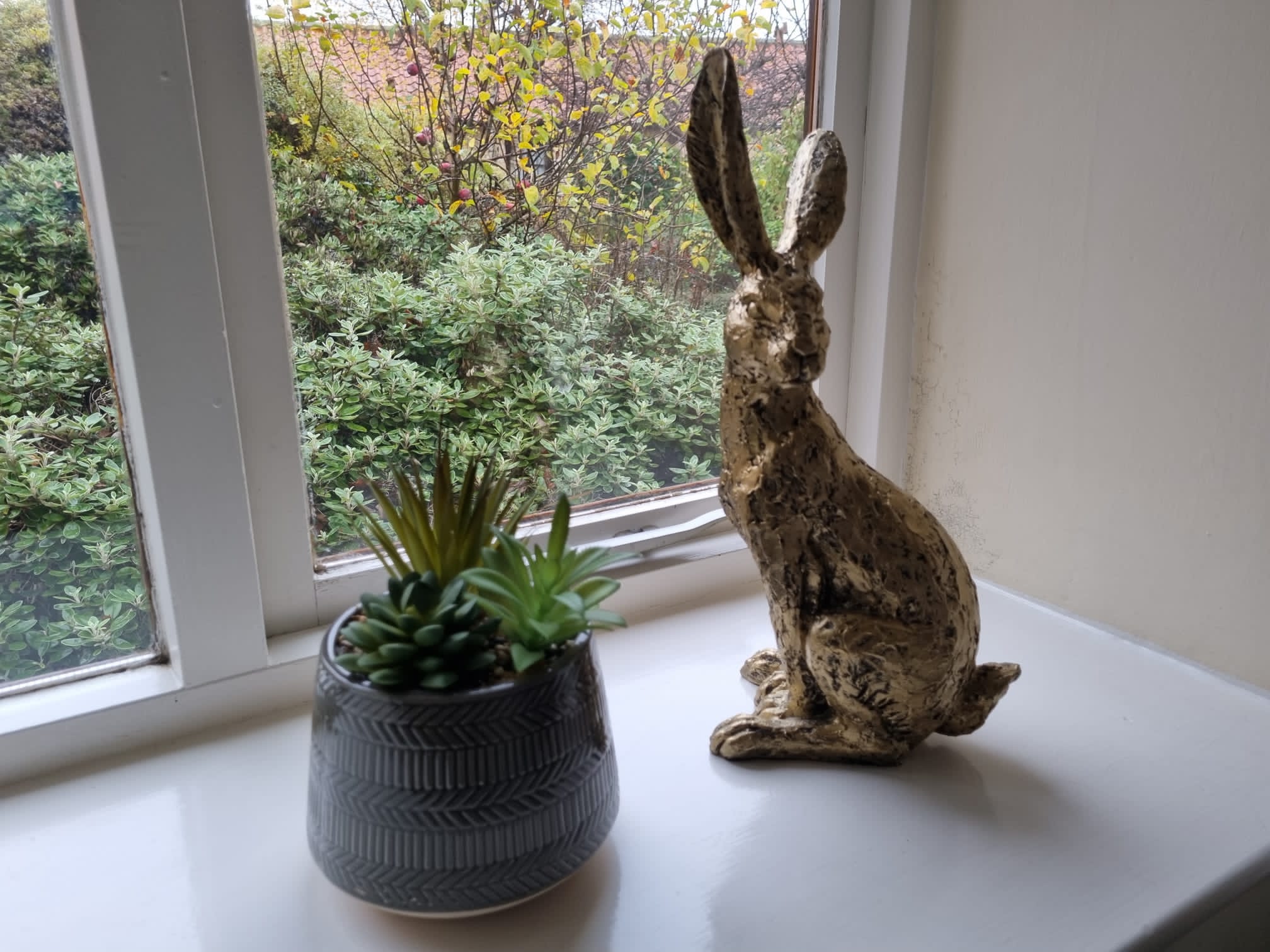 a statue of a hare in the window of Daleview cottage