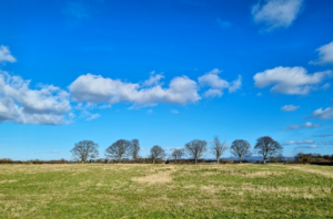 looking across a field with blue skies