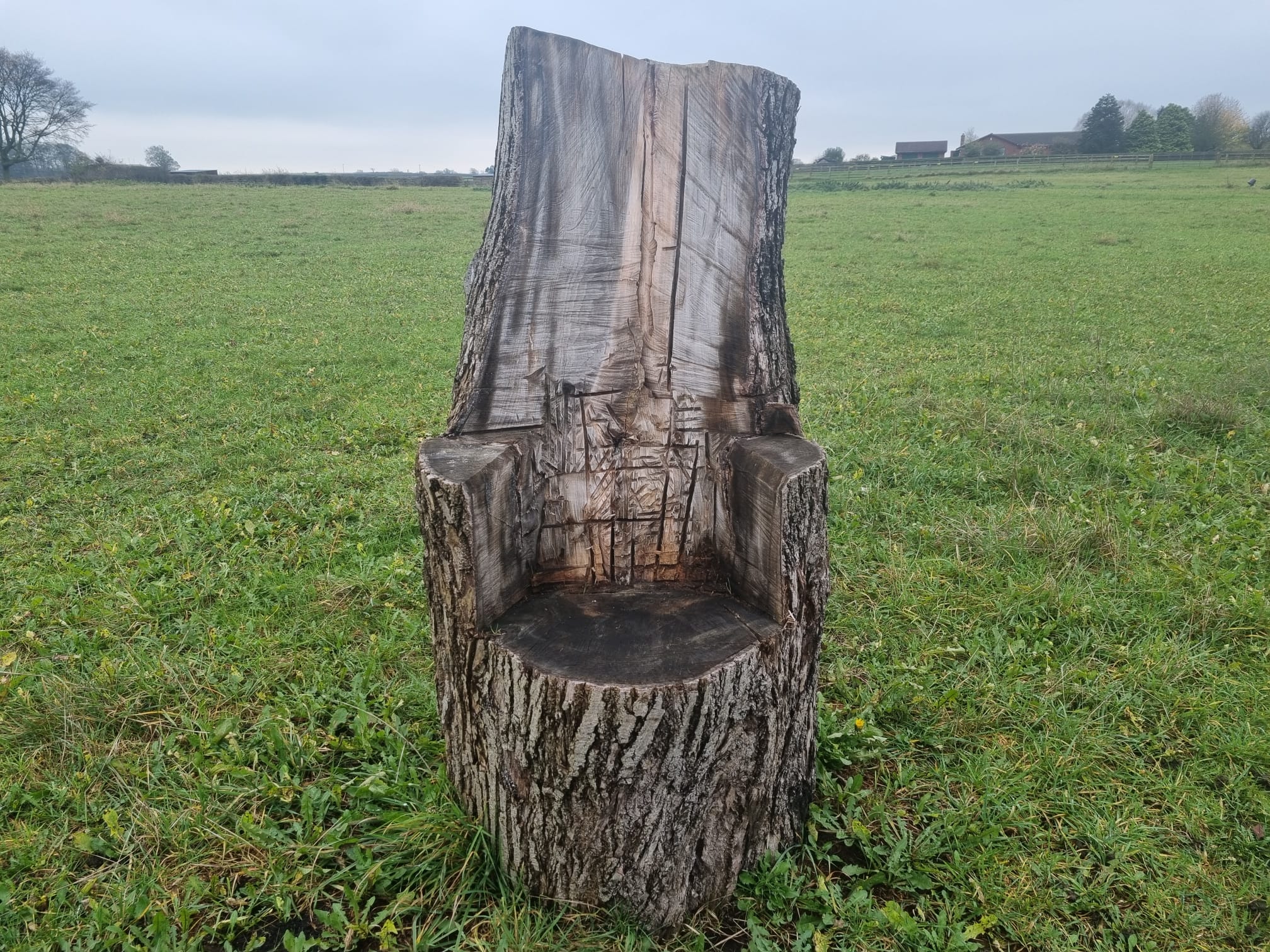 armchair/throne style seat carved out of an old tree trunk set in a field
