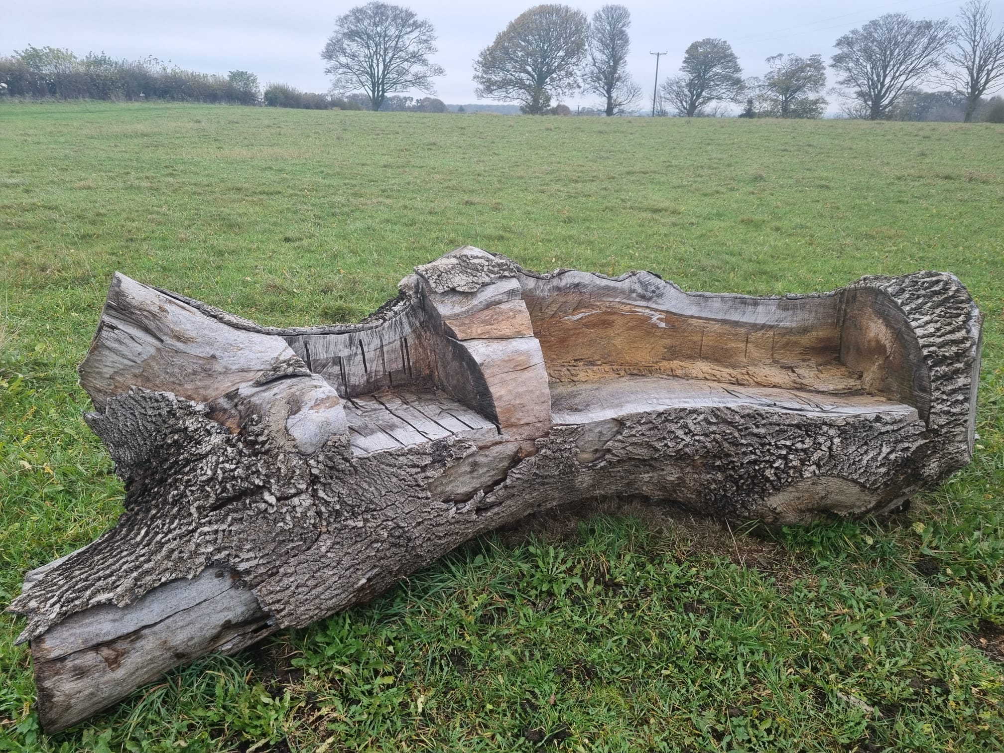 bench carved out of an old tree trunk set outside in a field